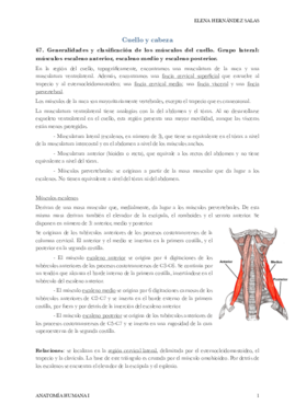 Cabeza y cuello - Elena.pdf