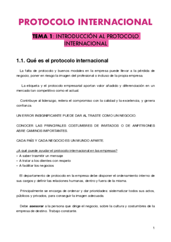 Protocolo-internacional-.pdf