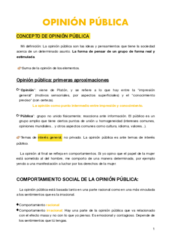 Opinion-publica-.pdf