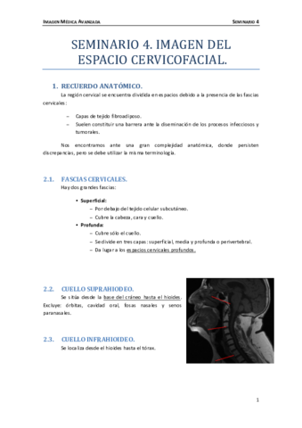 Seminario-4.pdf