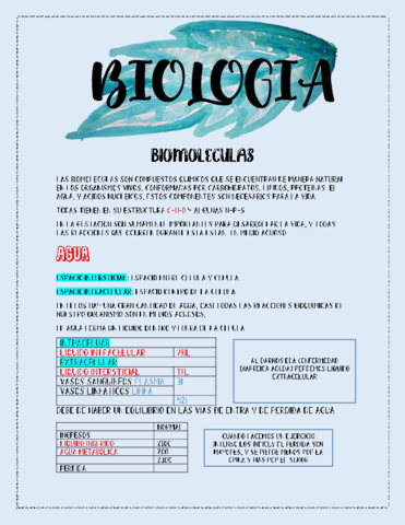 Biomoleculas-.pdf