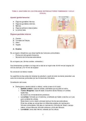 TEMA-1-ANATOMIA-DE-LOS-ORGANOS-REPRODUCTORES-FEMENINOS-Y-CICLO-SEXUAL.pdf