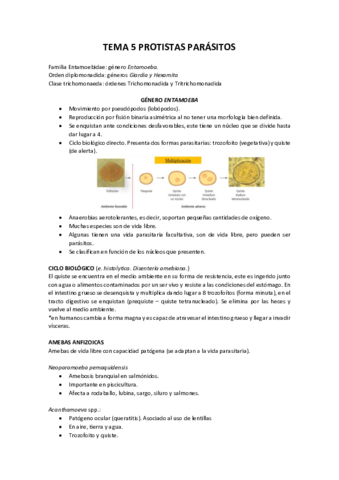 TEMA-5.pdf