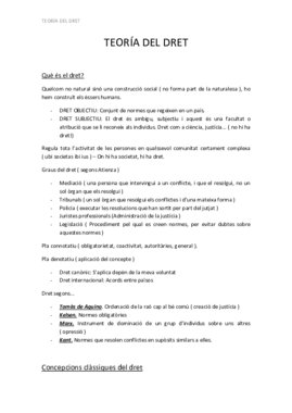 TEORÍA DEL DRET1 PDF.pdf