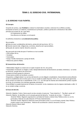 Tema 1 El derecho civil patrimonial.pdf