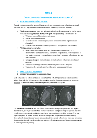 TEMA-2.pdf