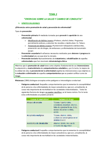 TEMA-2.pdf