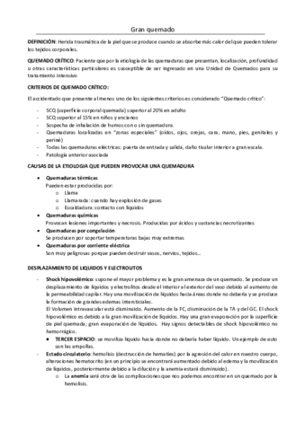 TEMA-15-EL-GRAN-QUEMADO.pdf