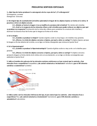 Respuestas-temas-15-sentidos-especiales-.pdf