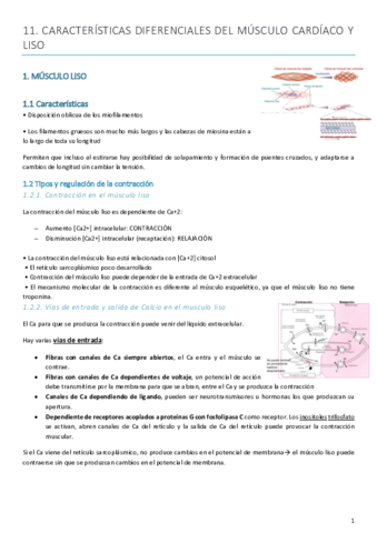 Tema-11.pdf