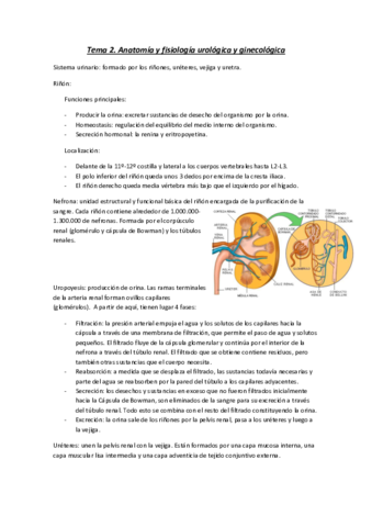 Tema-2.pdf