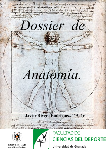 Dossier-Anatomia.pdf