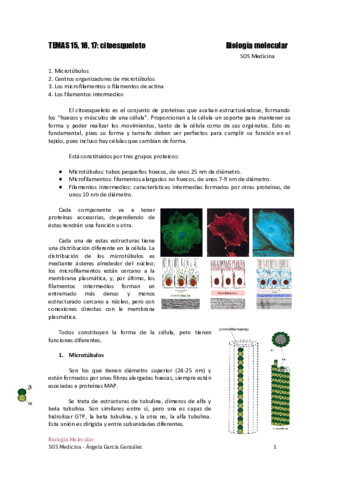 TEMA-15-16-17-citoesqueleto.pdf
