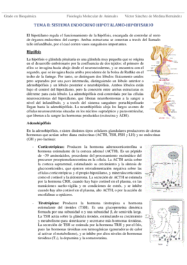 Tema 8. Hipotálamo e hipófisis VSM.pdf