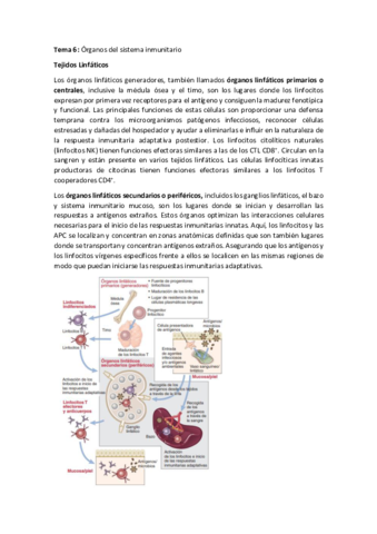 T6Organos-del-sistema-inmunitario.pdf