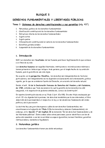 BLOQUE-I-Consti.pdf