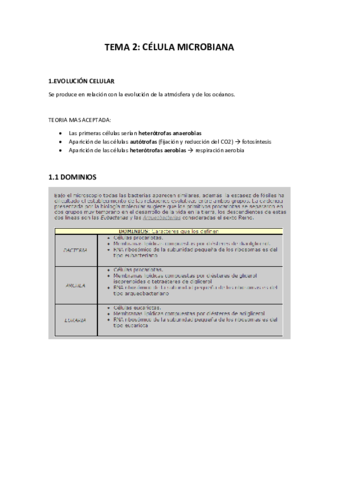TEMA-2.pdf