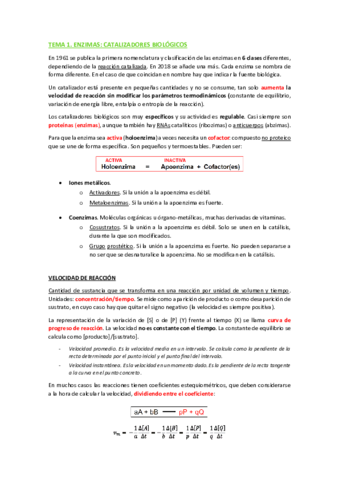 TEORIA-COMPLETO-T1-T8.pdf