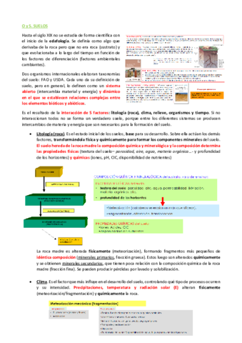 TEORIA-Y-ANALISIS-DE-DATOS-COMPLETO.pdf