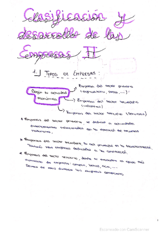 T2-Clasificacion-and-desarrollo-de-la-empr.pdf