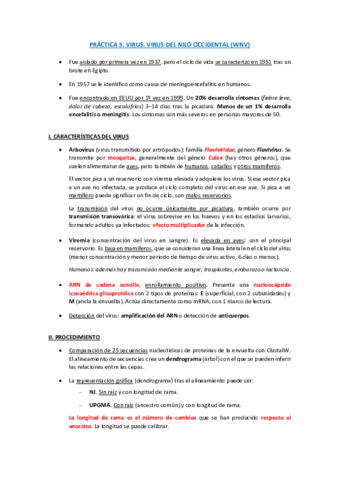 PRACTICAS-COMPLETO.pdf
