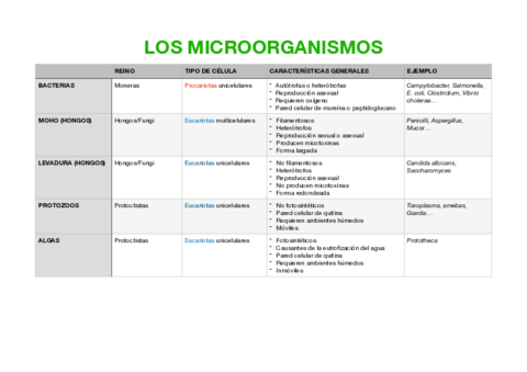 ESQUEMA-TEMA-1-MICRO-pdf.pdf