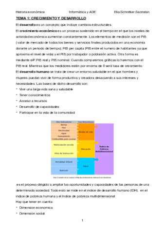 Apuntes-Histioria.pdf