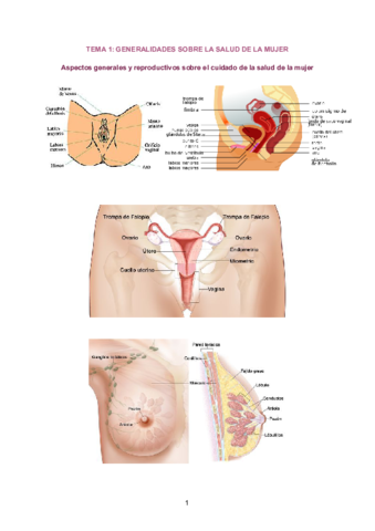 TEMA-1-GENERALIDADES-SOBRE-LA-SALUD-DE-LA-MUJER.pdf