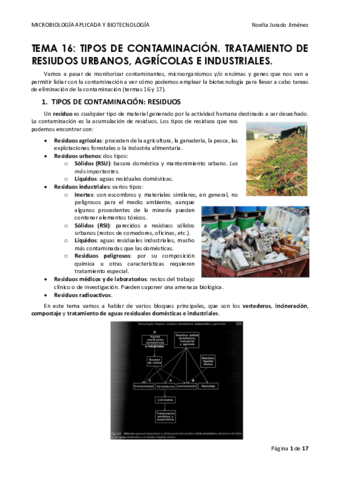 TEMA-16.pdf
