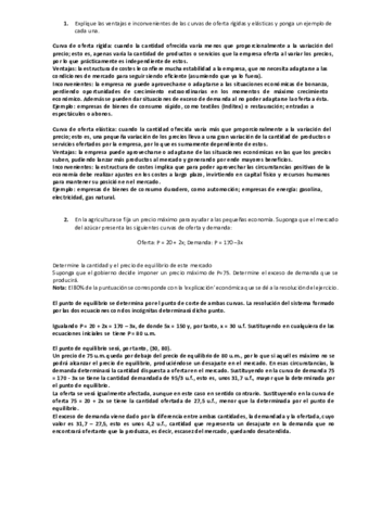 PREGUNTAS-TEORICAS.pdf