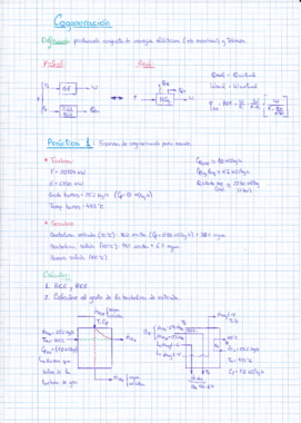Apuntes de Centrales Térmicas y Cogeneración.pdf