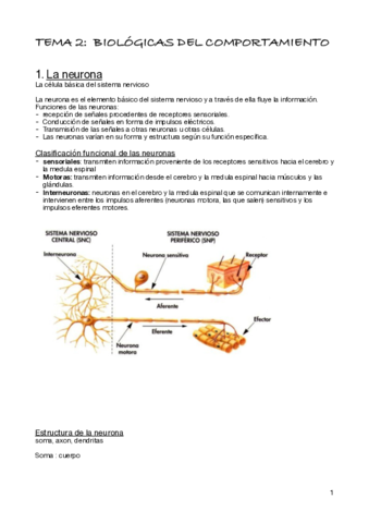 tema-2-.pdf