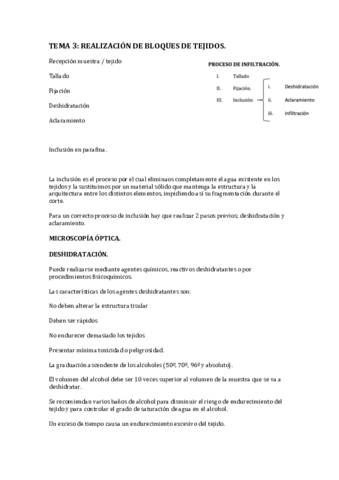 TEMA-3.pdf