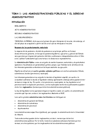 Adm-Tema-1.pdf