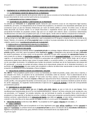 TEMA 1 MANUAL LASARTE CIVIL III.pdf