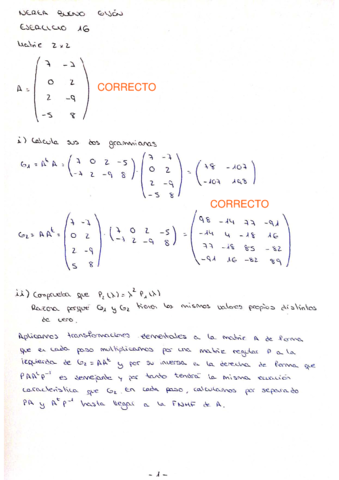 Ejercicio16-Correccion.pdf