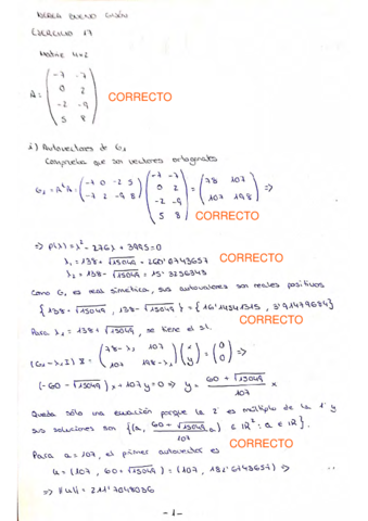 Ejercicio17-Correccion.pdf