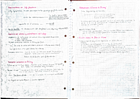 Pagina-17-18-copia.pdf