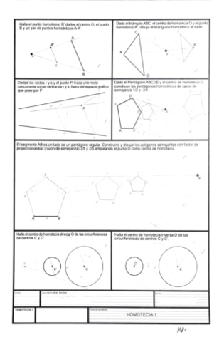 Laminas-Homotecia.pdf