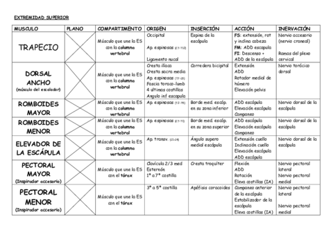EXTREMIDAD SUPERIOR CUADRO RESUMEN.pdf