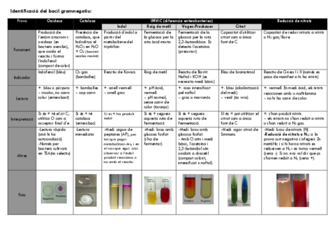 Taula-resum-practiques.pdf