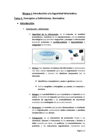 Tema-1-Seguridad-Informatica.pdf