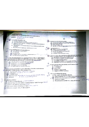 Examen-Micro-2013.pdf