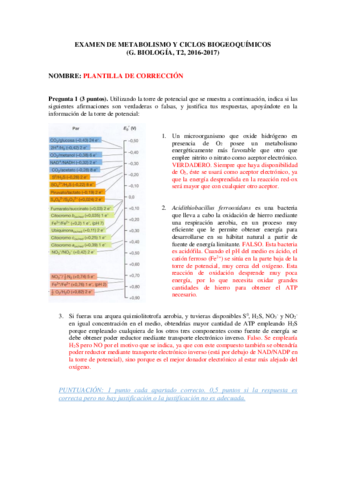 EXAMEN-DE-METABOLISMO-con-respuestas.pdf