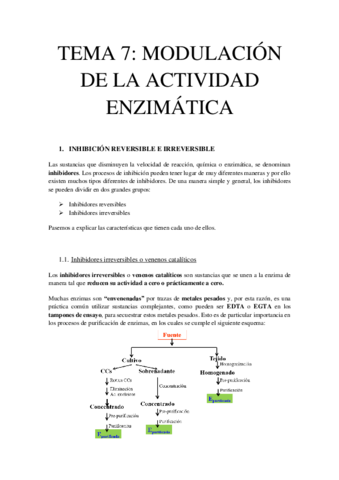 TEMA-7-MODULACION-DE-LA-ACTIVIDAD-ENZIMATICA.pdf