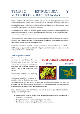 Tema 1-2 estructura y morfologia bacteriana.pdf