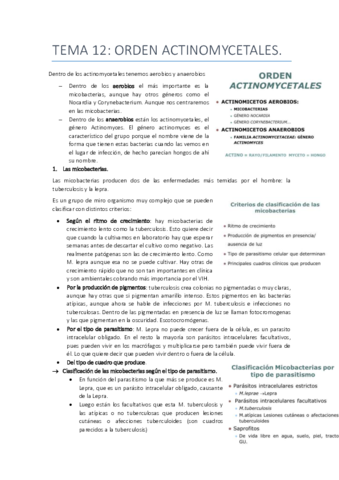 tema 12 antinomycetales.pdf