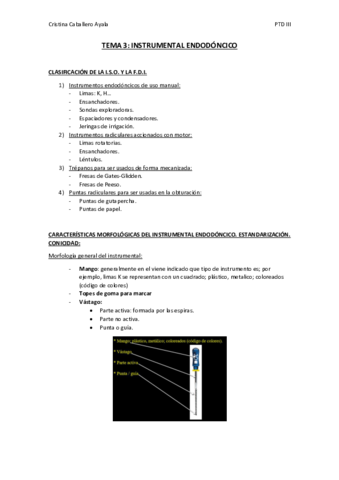 TEMA-3.pdf