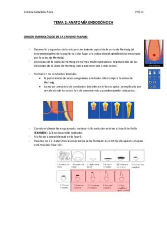 TEMA-2.pdf