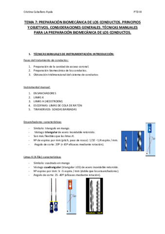 TEMA-7.pdf